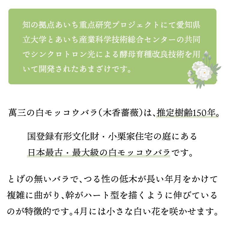 甘酒　米麹 ノンアルコール ノンアルコール甘酒 あまざけ 蔵元直送　ひなまつり ひな祭り