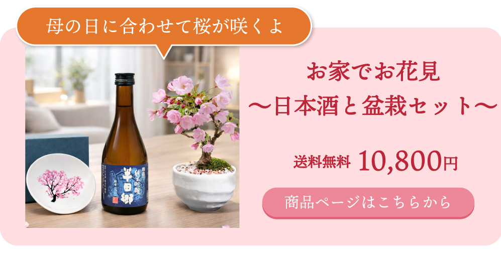 母の日ギフト特集2026