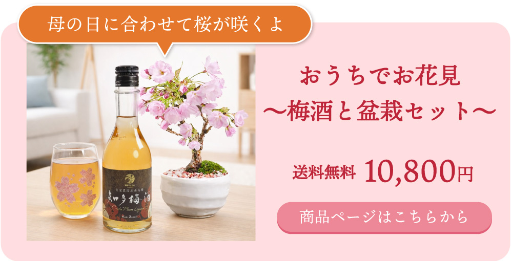 母の日ギフト特集2026