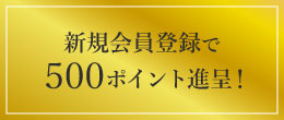 新規会員登録で500ポイント進呈